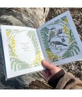 Children's Book | I am a Magpie I am a Currawong